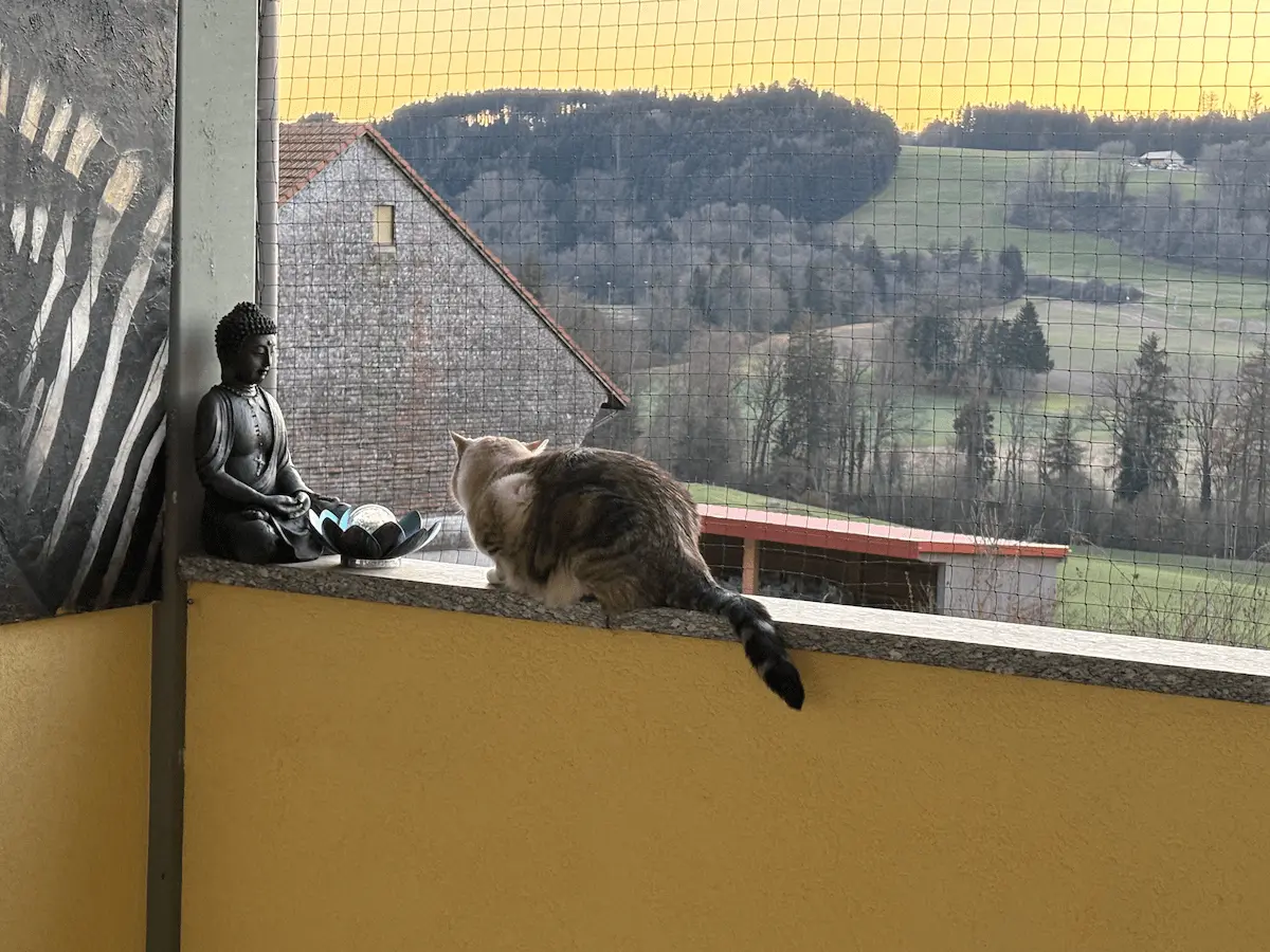 Réalisation